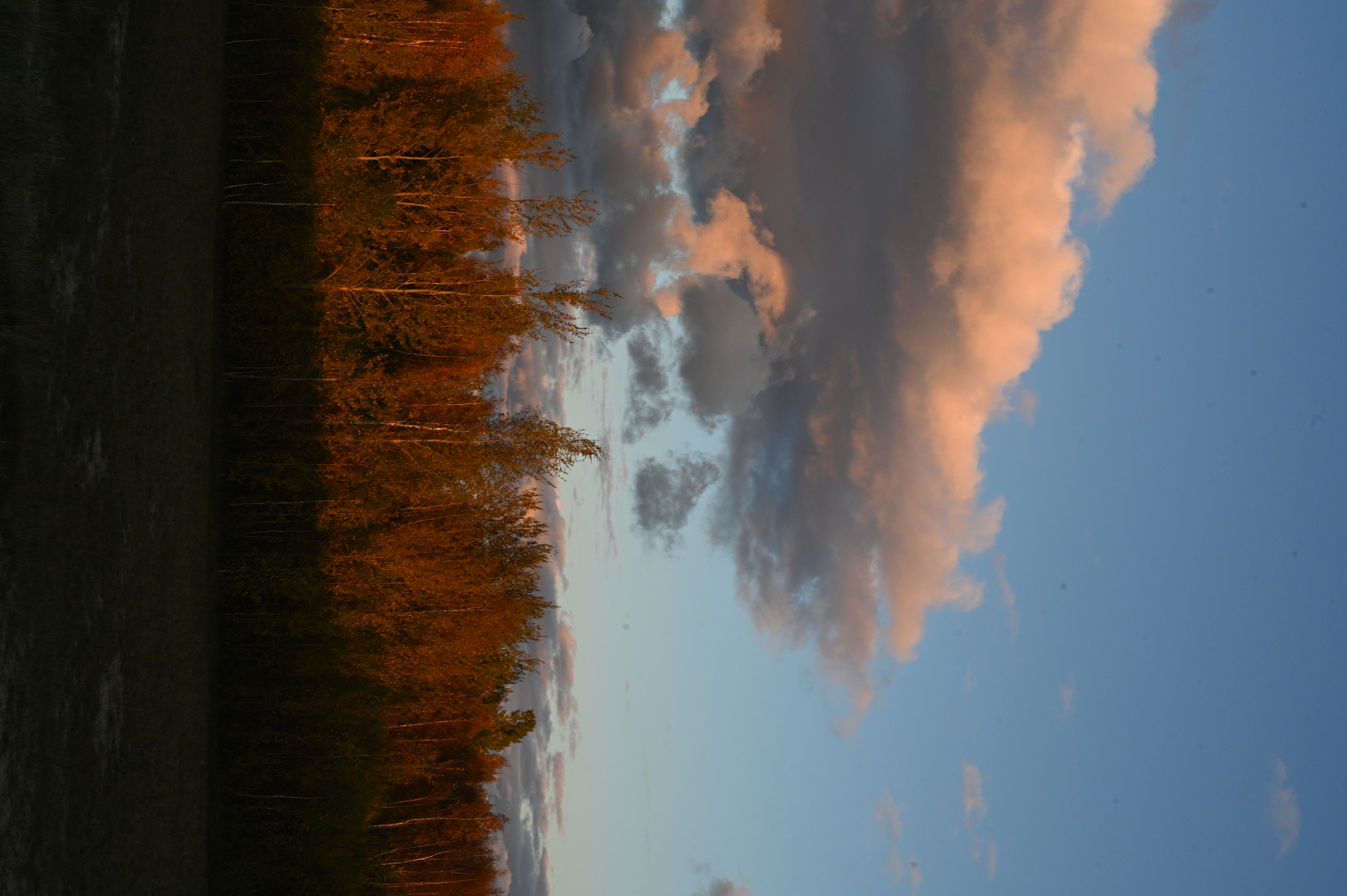 2025/10/18 - walk/DSC_0408.JPG